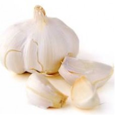 Garlic (Fresh)